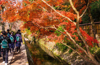 修学旅行・社会科見学